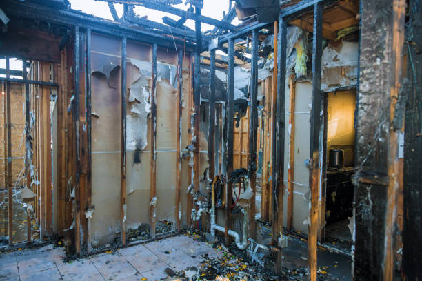 Professional Smoke Damage Removal technician working in Garrett Park, MD